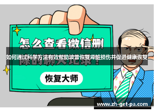 如何通过科学方法有效帮助波普恢复肾脏损伤并促进健康恢复