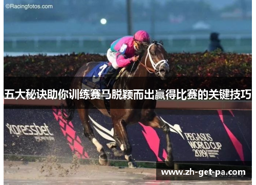 五大秘诀助你训练赛马脱颖而出赢得比赛的关键技巧