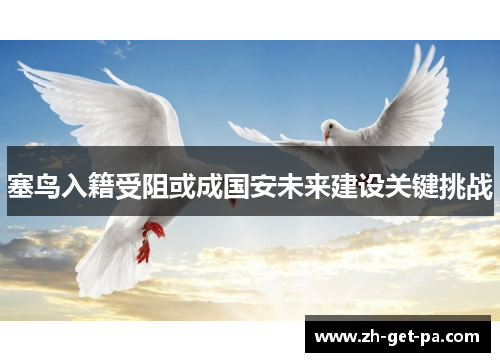 塞鸟入籍受阻或成国安未来建设关键挑战