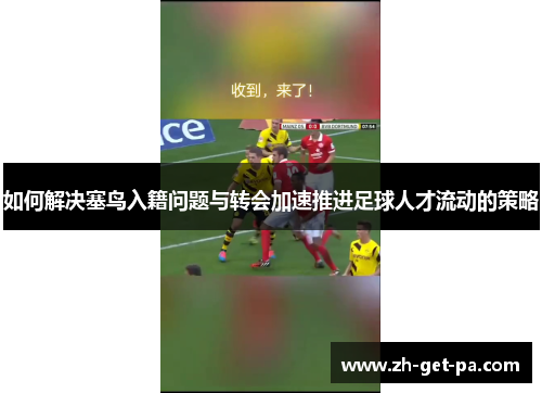 如何解决塞鸟入籍问题与转会加速推进足球人才流动的策略