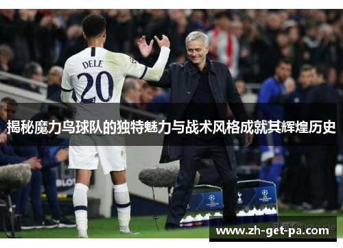 揭秘魔力鸟球队的独特魅力与战术风格成就其辉煌历史